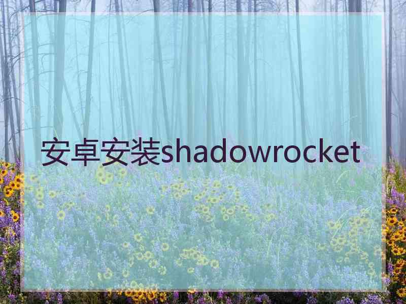安卓安装shadowrocket 安卓安装shadowrocket