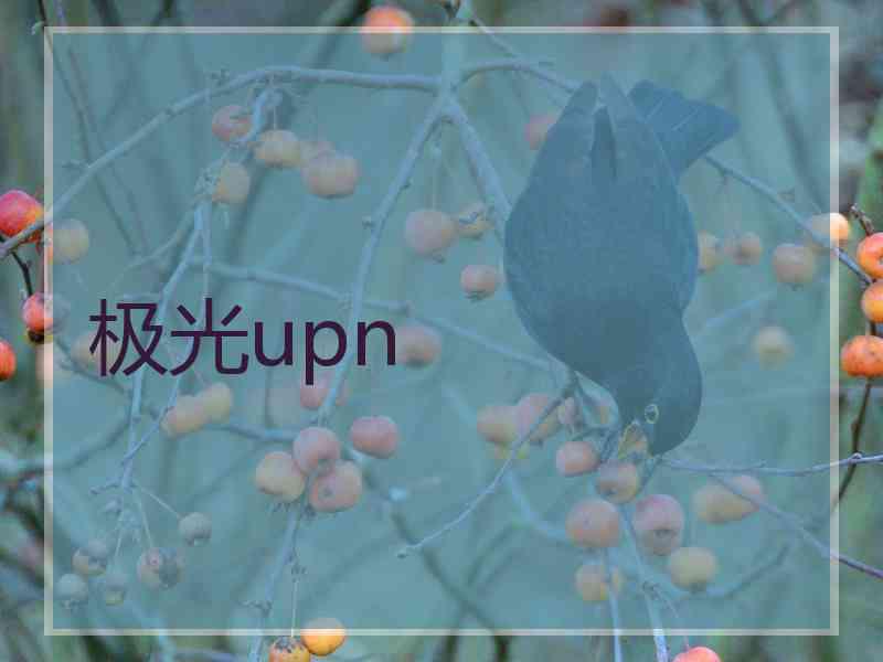 极光upn 极光upn