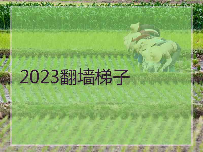 2023翻墙梯子 2023翻墙梯子