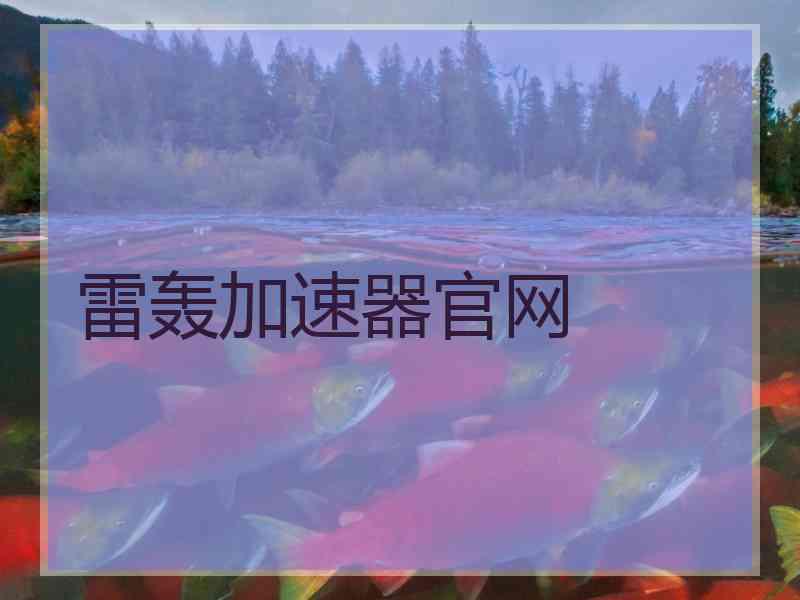 雷轰加速器官网 雷轰加速器官网