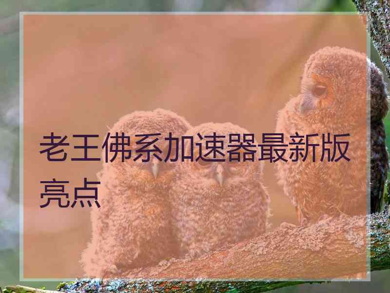 老王佛系加速器最新版亮点 老王佛系加速器最新版亮点
