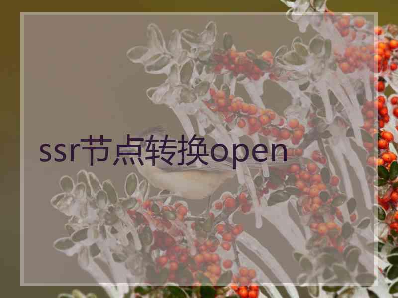 ssr节点转换open ssr节点转换open