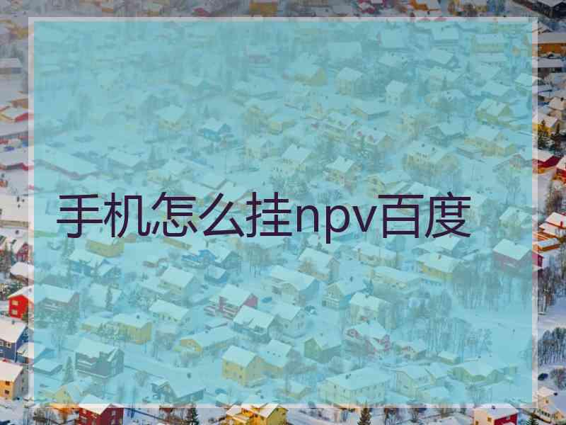 手机怎么挂npv百度 手机怎么挂npv百度
