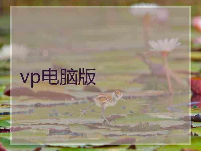 vp电脑版 vp电脑版
