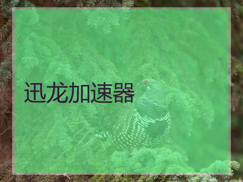 迅龙加速器 迅龙加速器
