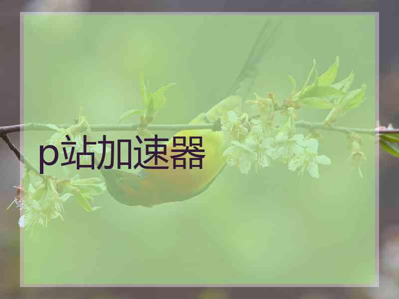 p站加速器 p站加速器