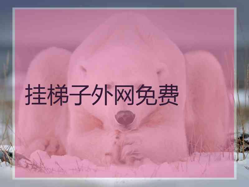 挂梯子外网免费 挂梯子外网免费