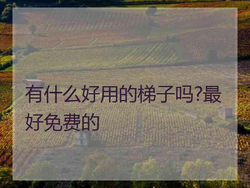 有什么好用的梯子吗?最好免费的 有什么好用的梯子吗?最好免费的