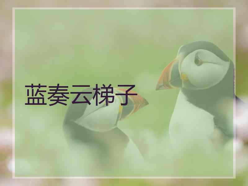 蓝奏云梯子 蓝奏云梯子