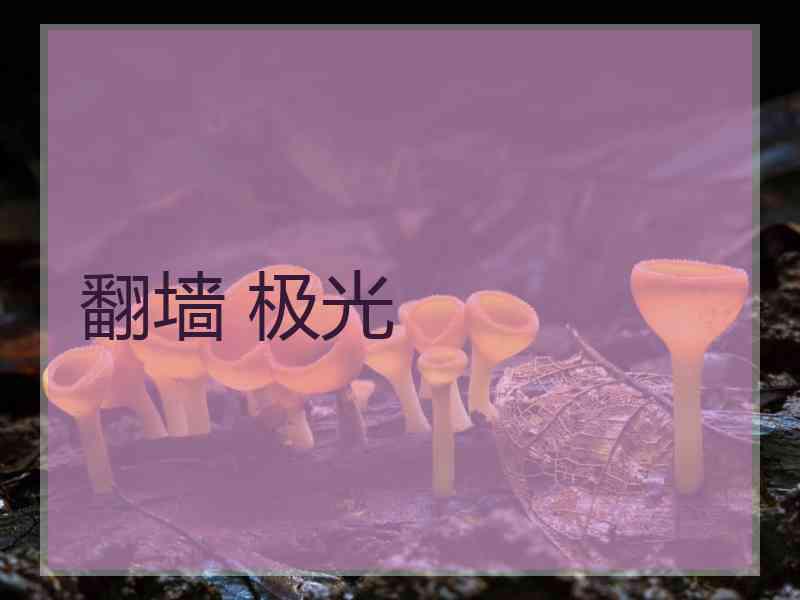 翻墙 极光 翻墙 极光