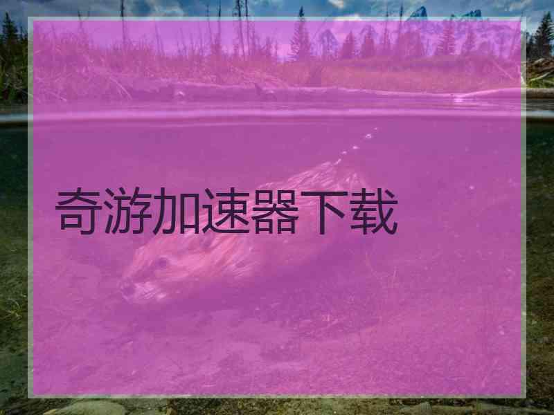 奇游加速器下载 奇游加速器下载