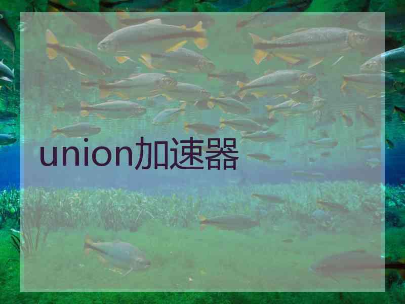 union加速器 union加速器