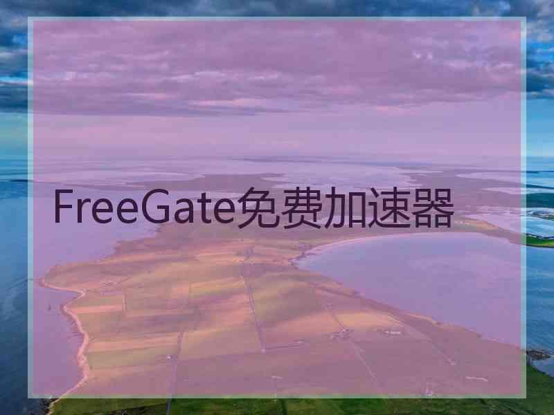 FreeGate免费加速器 FreeGate免费加速器