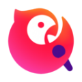 netch 极光加速