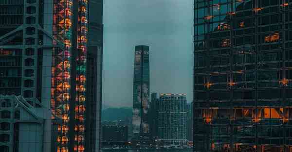 科学上外网 app免费下载