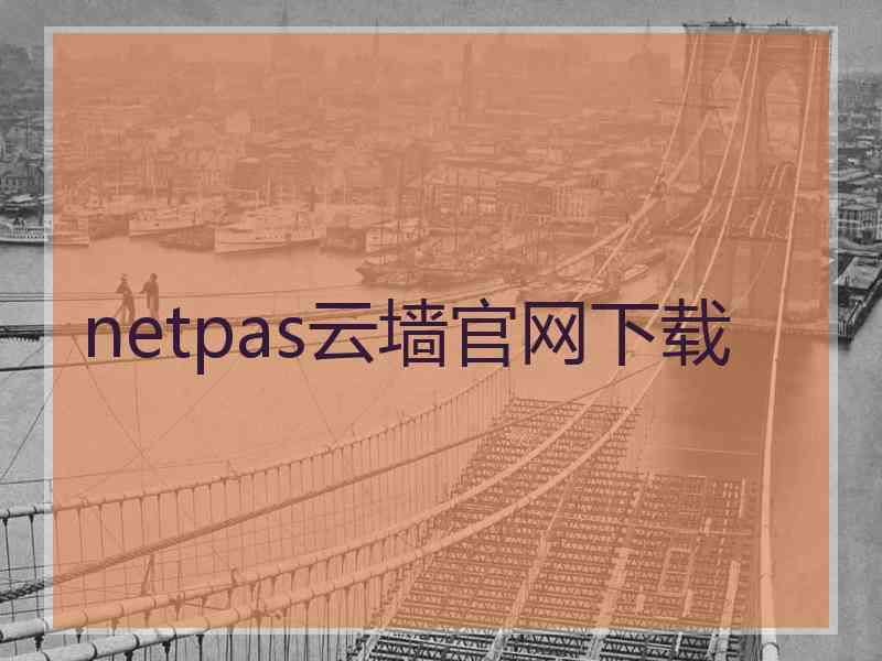 netpas云墙官网下载
