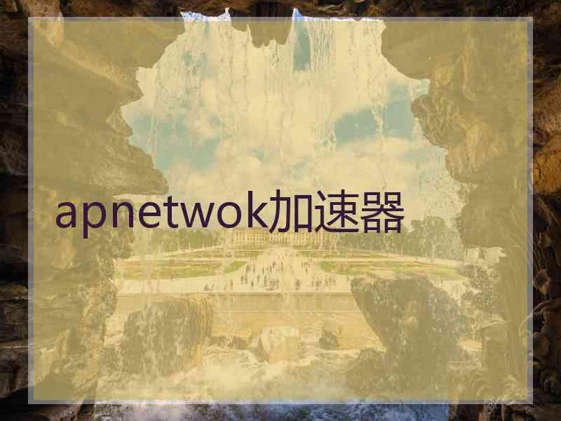 apnetwok加速器