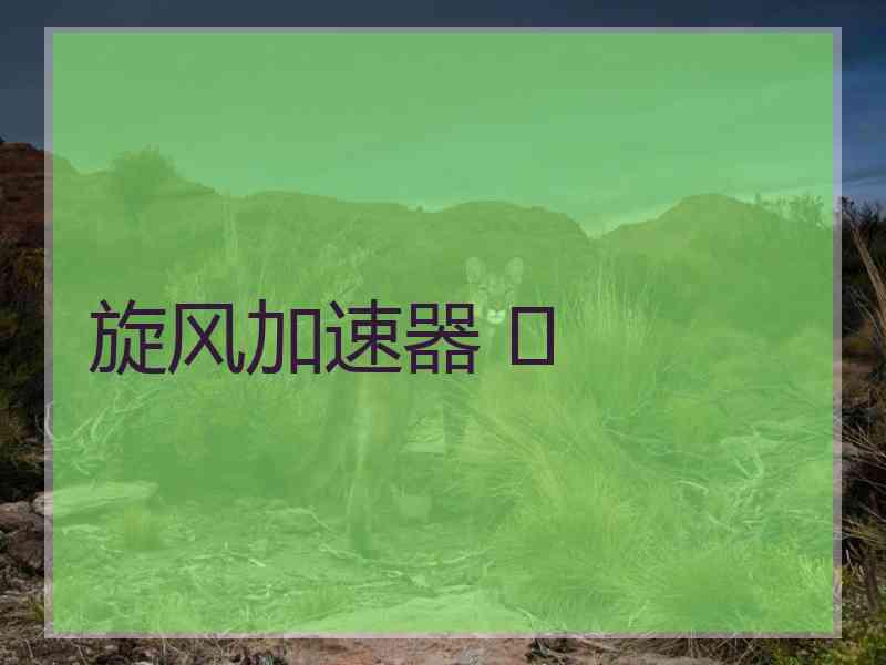 旋风加速器 	