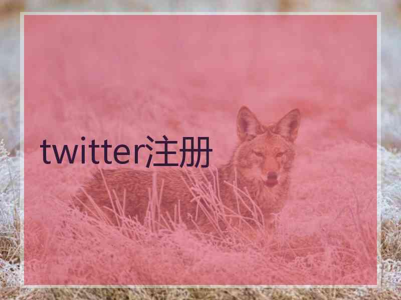 twitter注册