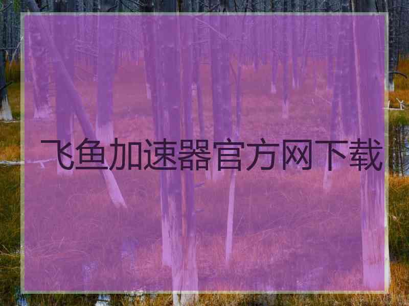 飞鱼加速器官方网下载
