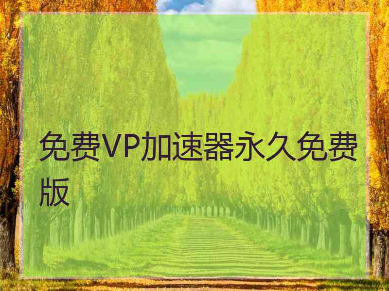 免费VP加速器永久免费版