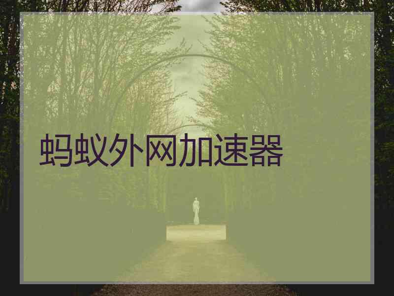 蚂蚁外网加速器