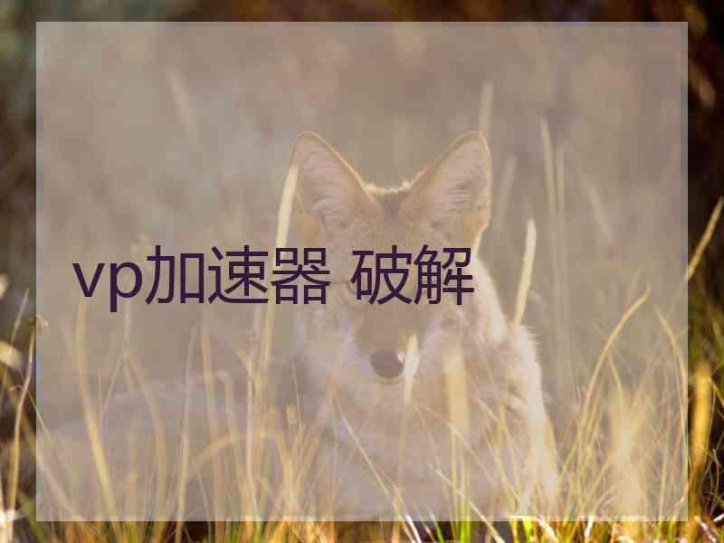 vp加速器 破解