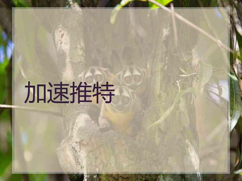 加速推特